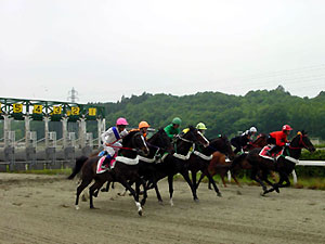 模擬レース写真