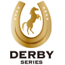 ＤＥＲＢＹ-ＳＥＲＩＥＳ