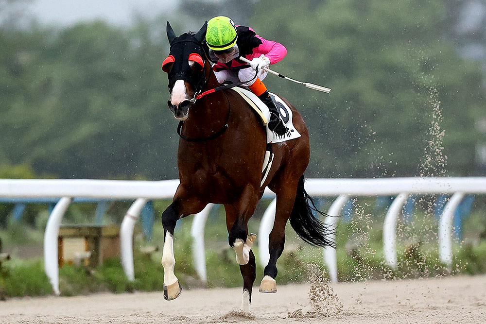 前年の結果 ダービーシリーズ22 地方競馬