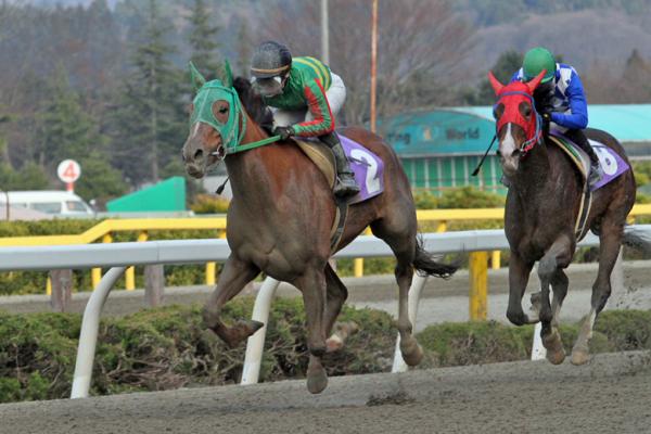 歴代優勝馬