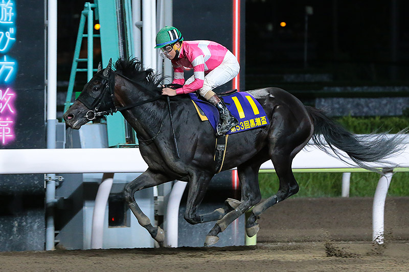 2019年 リンノレジェンド　人気馬を振り切り重賞初勝利