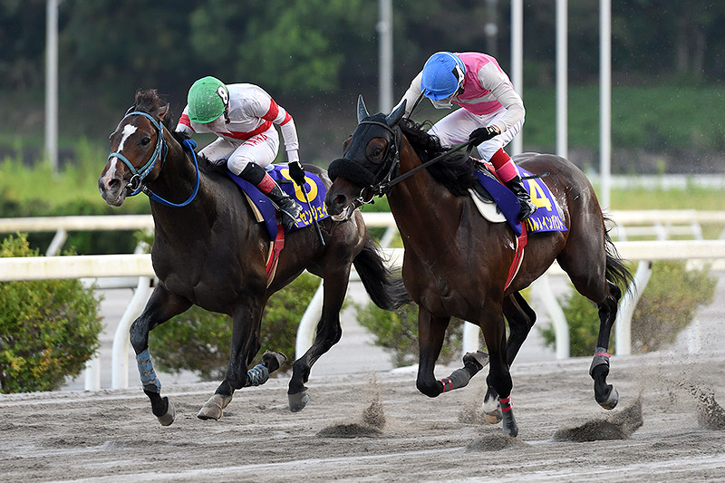 2021年 トーセンジェイク　直線インコースを狙って差し切る