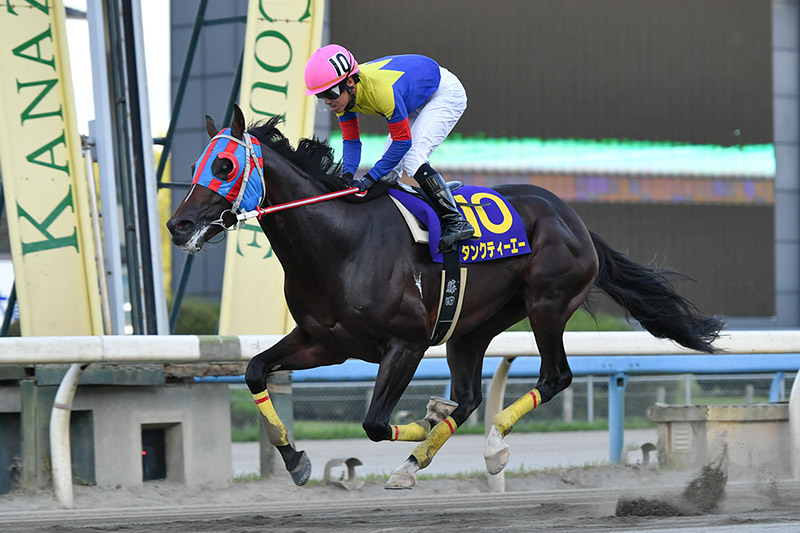 2019年 タンクティーエー　好位追走から直線独走