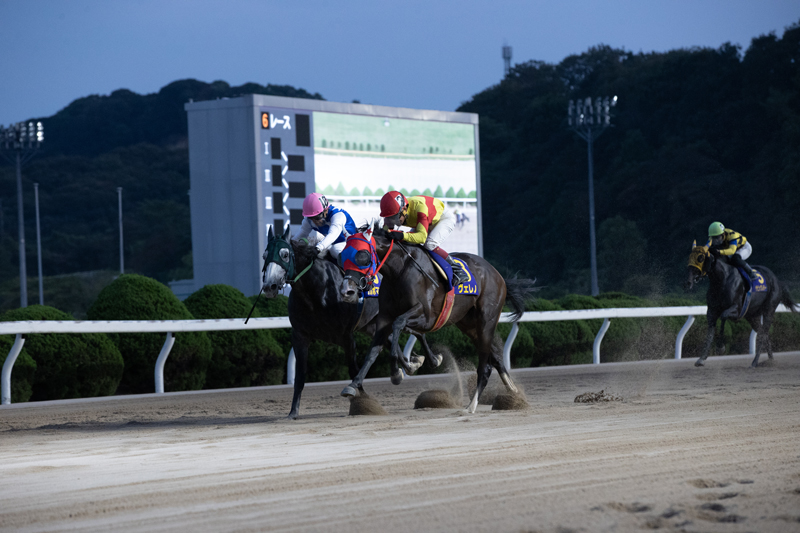 2022年 ヴェレノ 高知三冠を争った2頭の一騎打ち