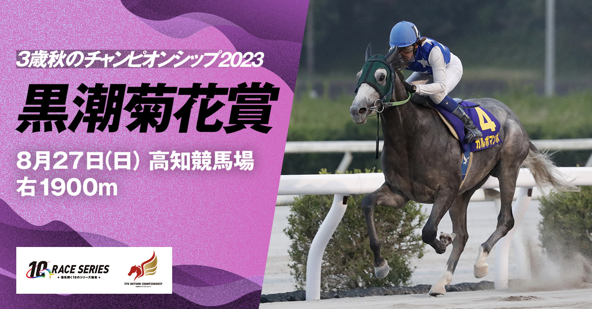 レース紹介｜黒潮菊花賞｜3歳秋のチャンピオンシップ2023