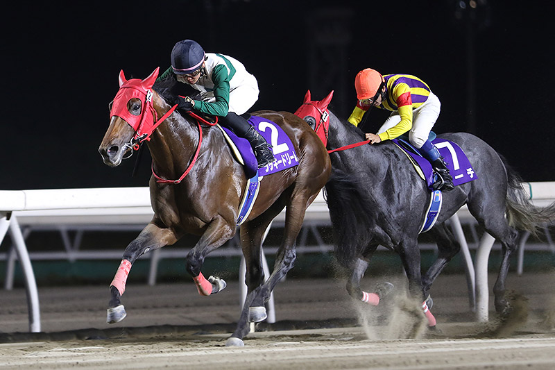 2021年 ラッキードリーム　ホッカイドウ競馬6頭目の三冠達成