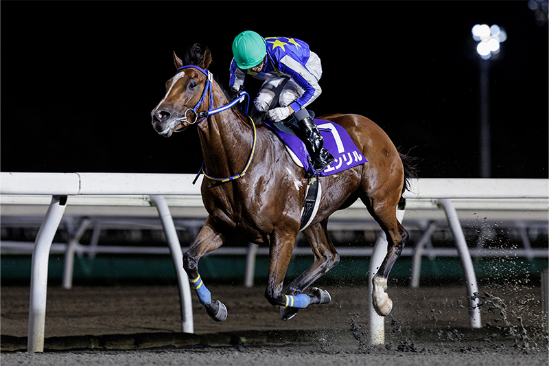 2022年 エンリル 好スタートから逃げ切る 馬場も味方に三冠を阻止