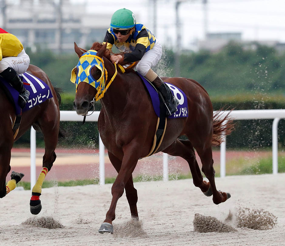 出馬表｜岐阜金賞｜3歳秋のチャンピオンシップ2023｜シリーズ競走特設