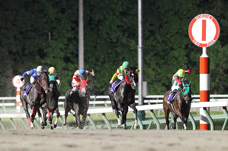 2019年 ヤマショウブラック 再転入初戦で伝統のタイトル獲得