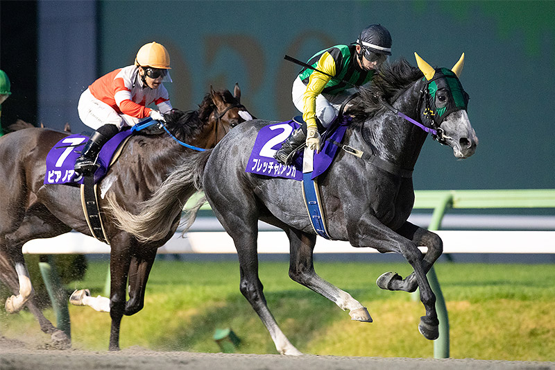 2020年 フレッチャビアンカ 充実ぶりを見せ岩手二冠制覇