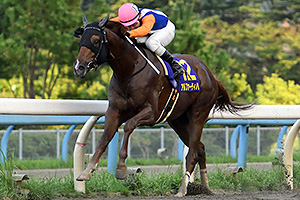 過去6年の競走成績 2018