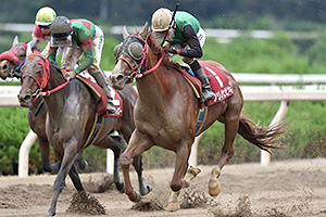 過去5年の競走成績 2018