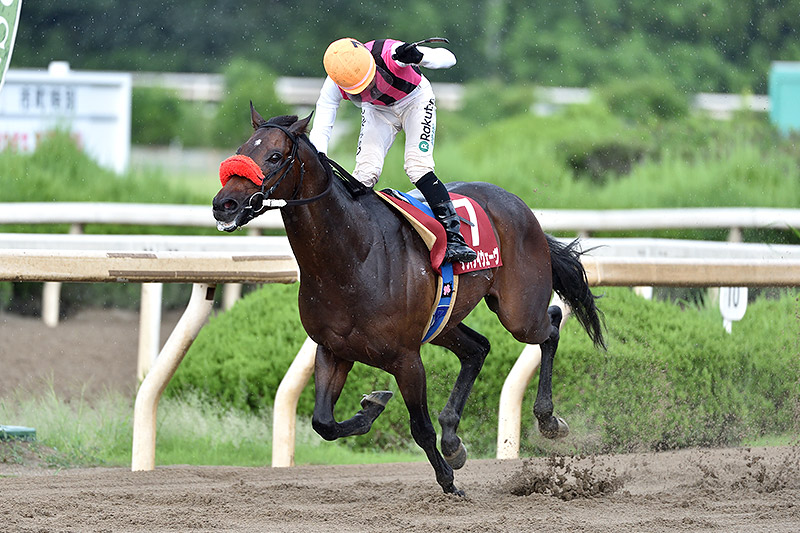 2019年 テンマダイウェーヴ 2歳チャンピオンが久々の勝利