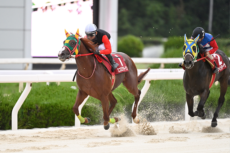 2022年 エコロクラージュ デビューから6連勝で重賞制覇