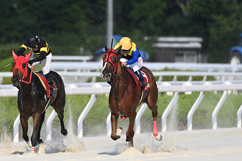 2022年 スーパーバンタム　ダービー・ダブル達成で重賞5連勝