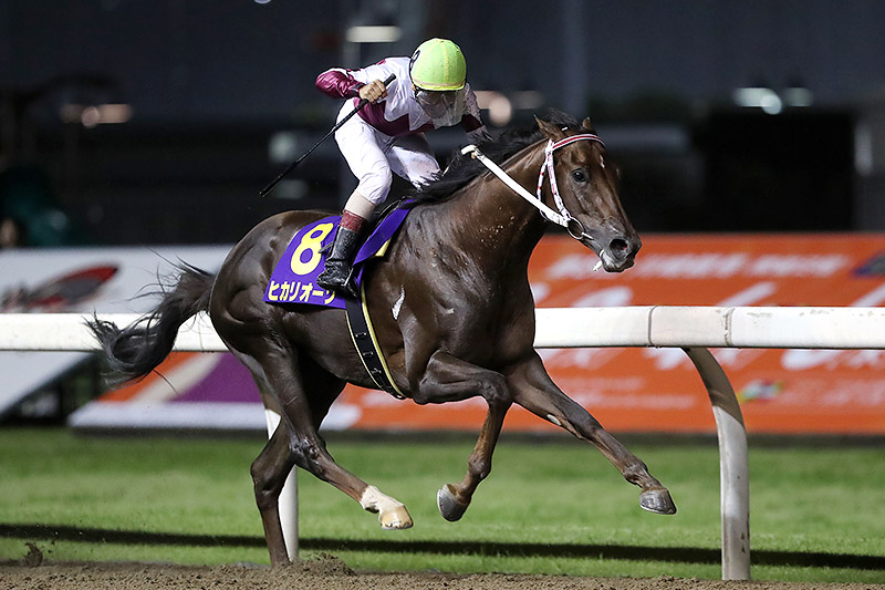 2019年 ヒカリオーソ　東京ダービー馬が地元で貫禄勝ち