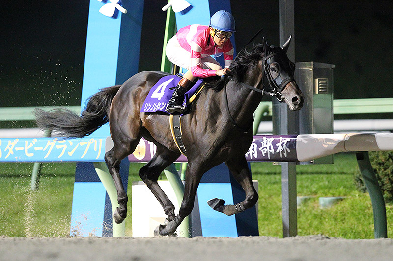 2019年 リンノレジェンド 逃げて直線突き放し他馬を圧倒