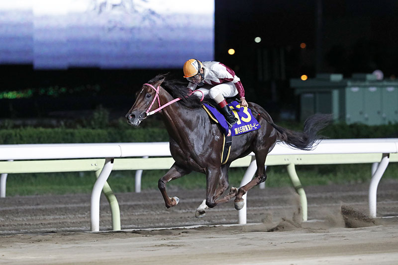 2019年 ヒカリオーソ フリオーソ産駒2頭目のダービー馬に