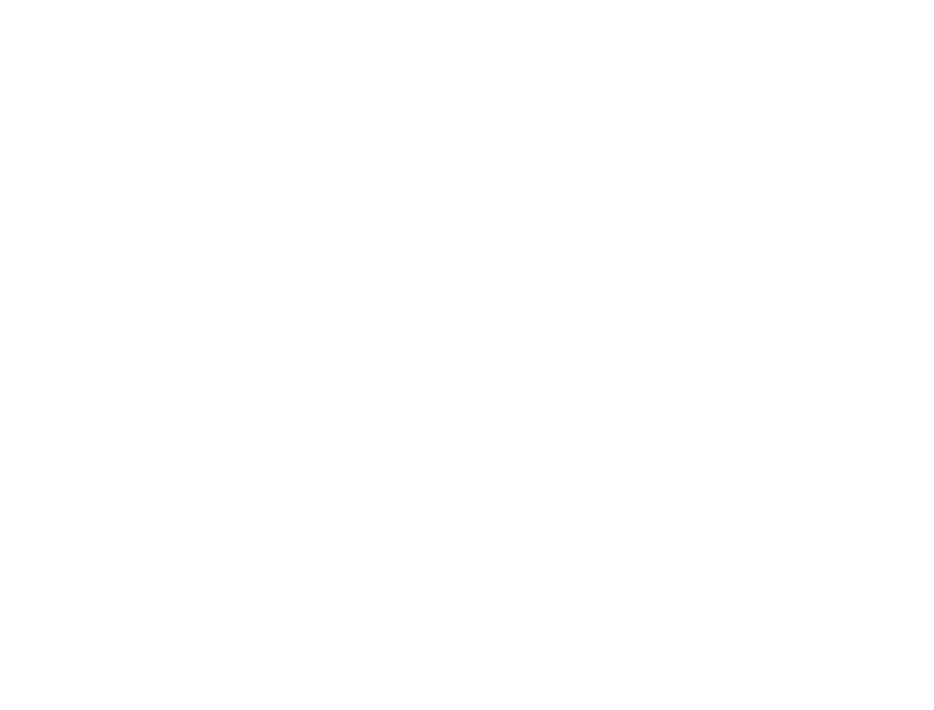 東北優駿（岩手ダービー）