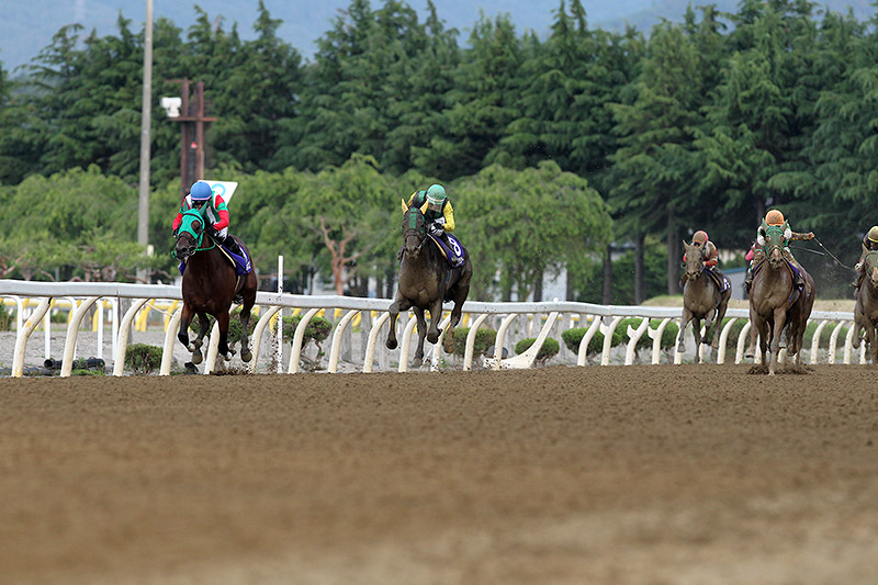 2019年 パンプキンズ　馬場も味方に完璧な逃げ切り