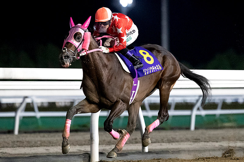 2019年 リンゾウチャネル 最速の上がりで直線独走