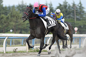 過去5年の競走成績 2017