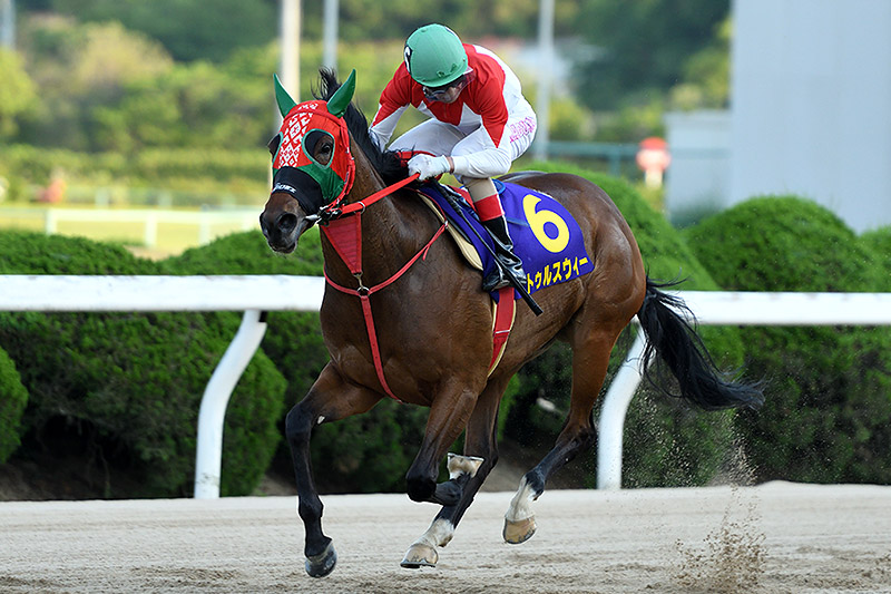 2021年 トゥルスウィー　4馬身差の完勝で二冠達成