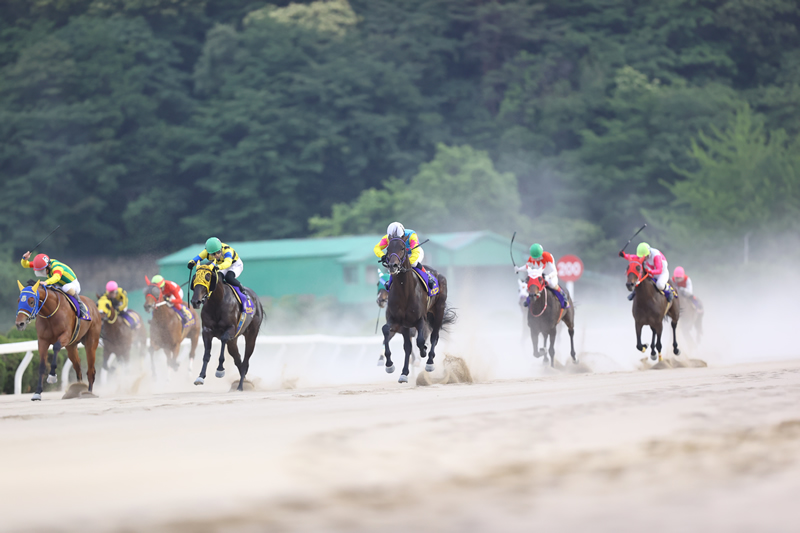 2022年 イカニカン　直線3頭の争いから抜け出す 重賞2戦目で世代の頂点に