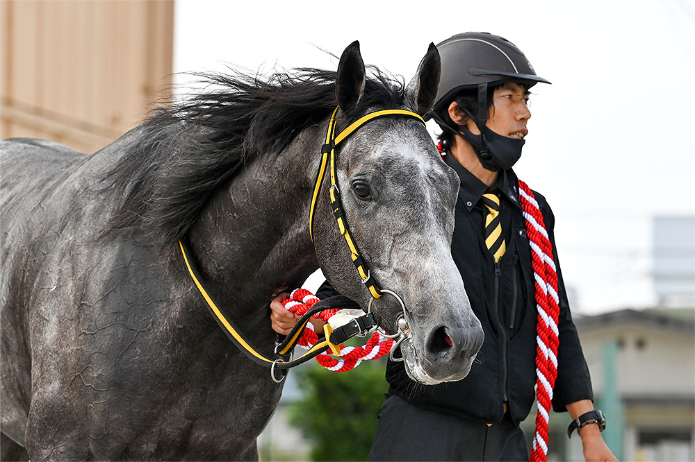 2021年 トミケンシャイリ　転入後6連勝で東海の頂点に