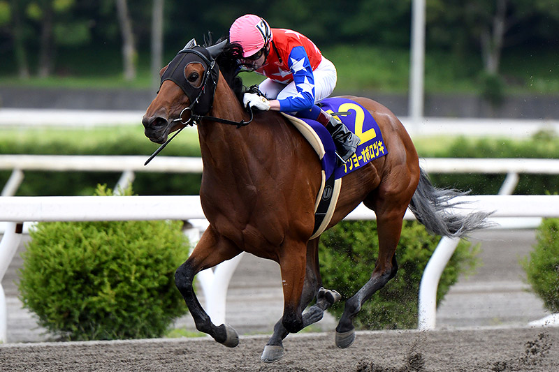 2019年 ナンヨーオボロヅキ　地元所属馬が逃げ切り勝ち