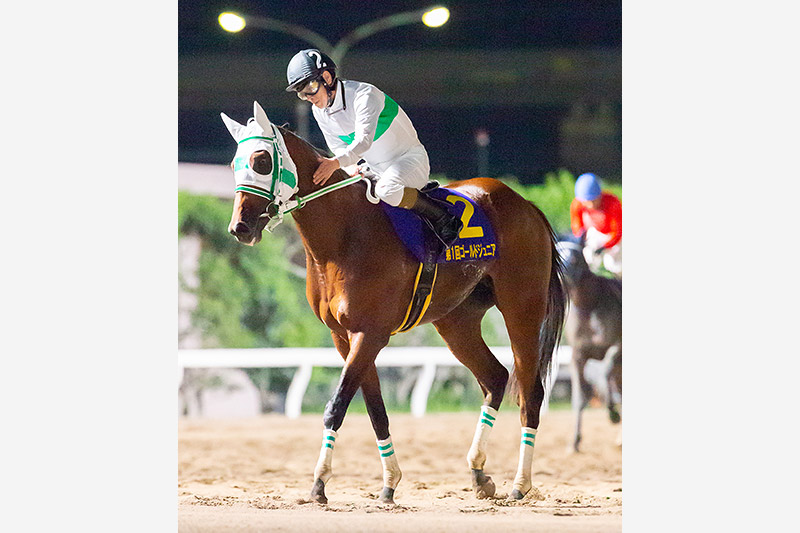 2020年　アランバローズ　無傷の3連勝で初代勝ち馬に名を刻む