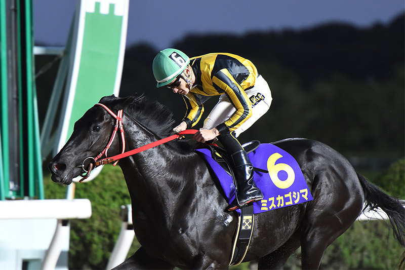 2019年 ミスカゴシマ 佐賀5戦5勝で地元に敵なし