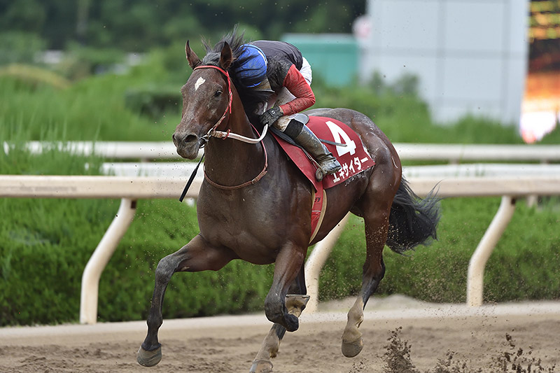 2019年　エキサイター　地元園田では無敵の5戦全勝