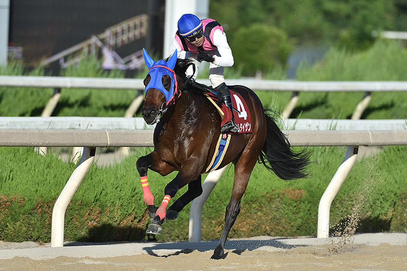 2020年　ツムタイザン　逃げ切り8馬身差で無傷の3連勝