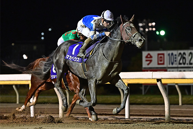 2020年　マカベウス　直線並ぶ間もなく抜け出し快勝