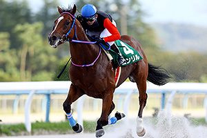 過去5年の競走成績 2021