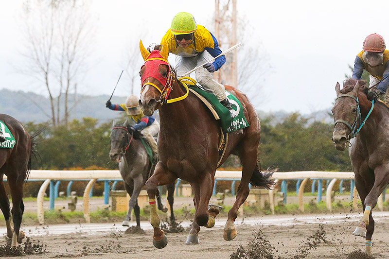 2019年　ハイタッチガール　直線外から抜け出し重賞連勝