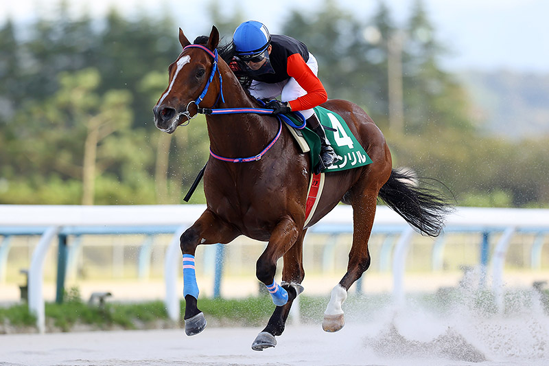 2021年　エンリル　北海道の人気馬が力の違い示す