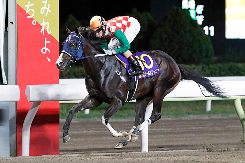2021年 ママママカロニ 直線人気馬を突き放し9馬身差