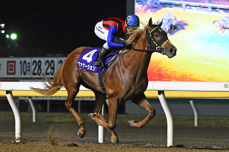 2019年 ヴァケーション 4コーナー先頭から直線独走