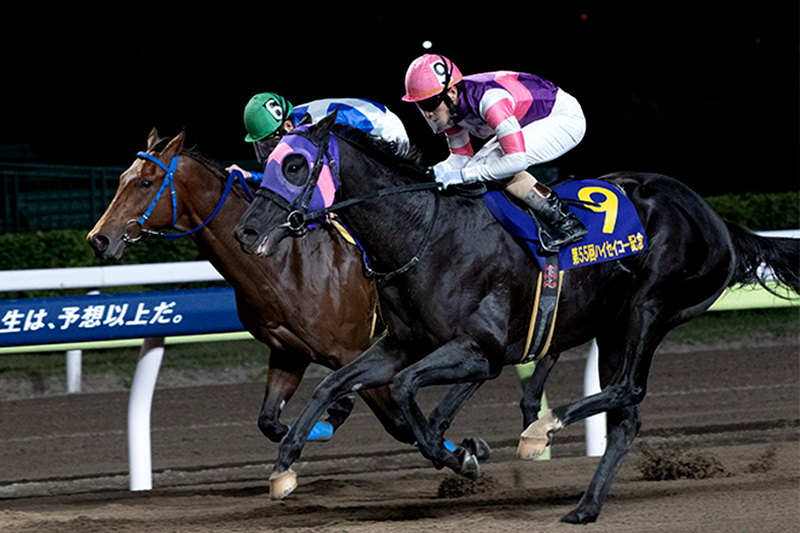 2022年 マンダリンヒーロー 一騎打ち制し無傷の4連勝
