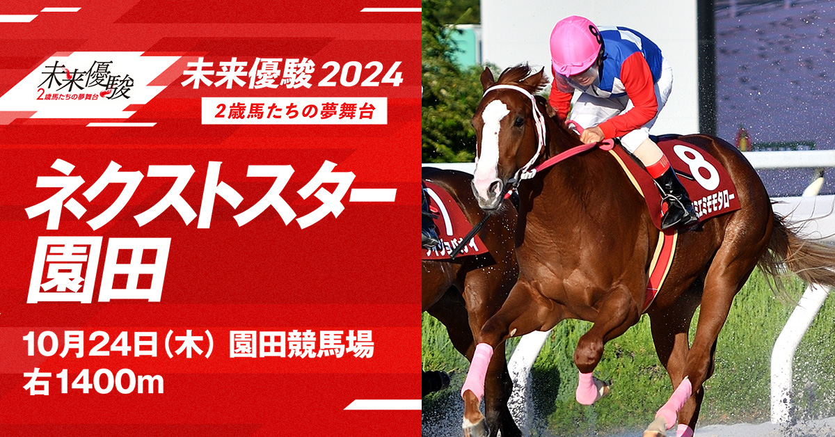 再値下げしました。馬場重臣作南円堂の月 future_20241024-