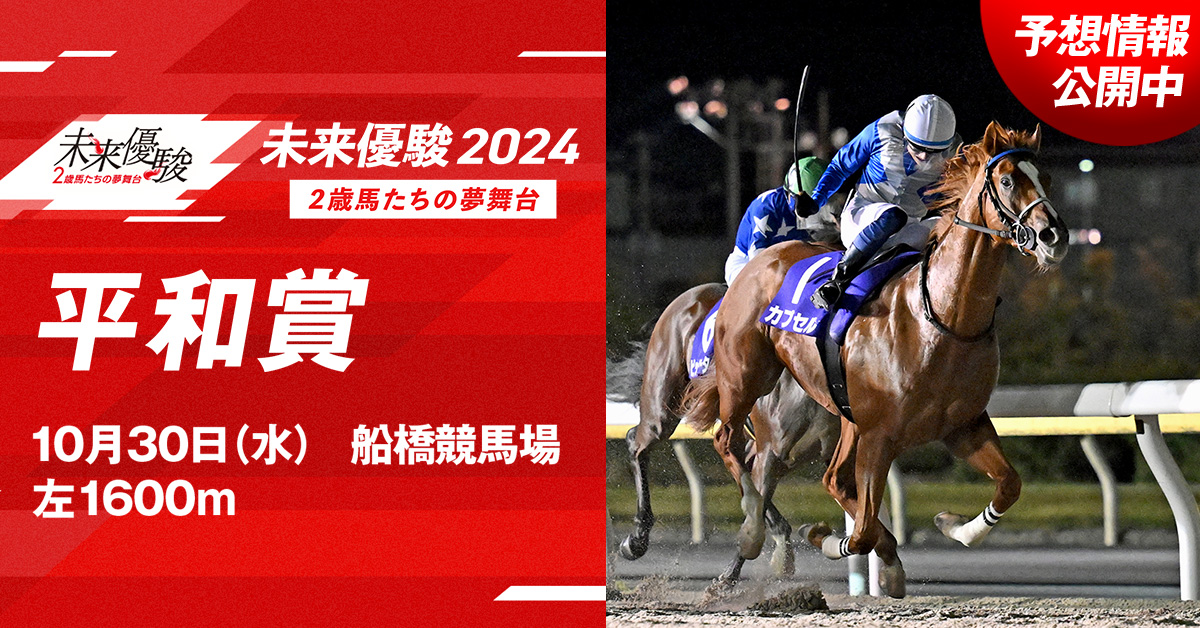 聖域に仕えし練達の魔導士　日本選手権ショップ予選上位賞 お知らせ】記録達成記念商品 受注販売 | 大阪エヴェッサ