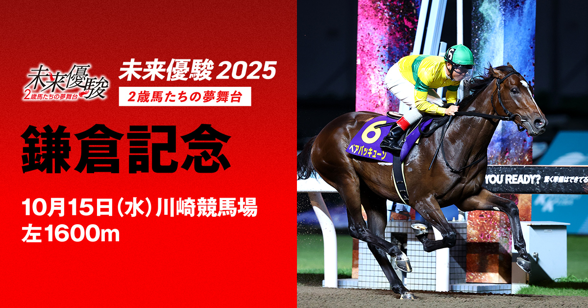 競馬 競馬学 西澤理論テキスト 天皇賞(秋)編 西澤広久著 定価5万円