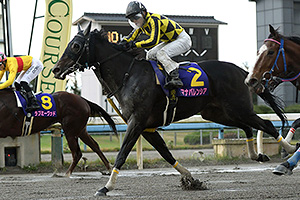 過去5年の競走成績 2020