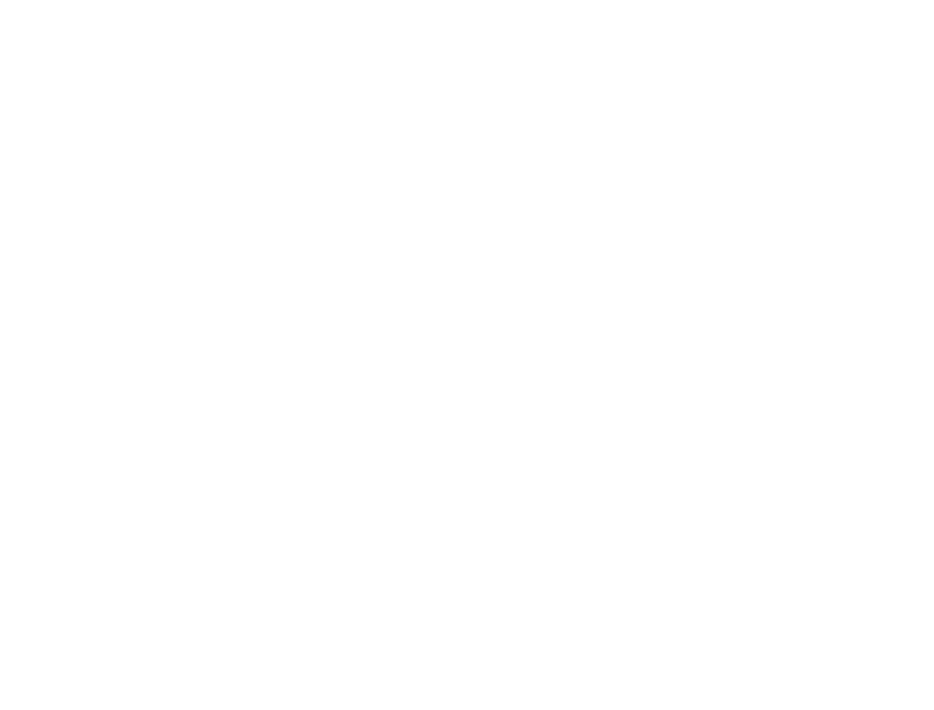 東京2歳優駿牝馬