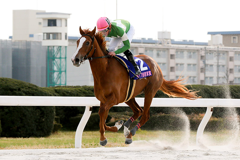 2019年 ゴールドリング　断然人気に応えて圧勝