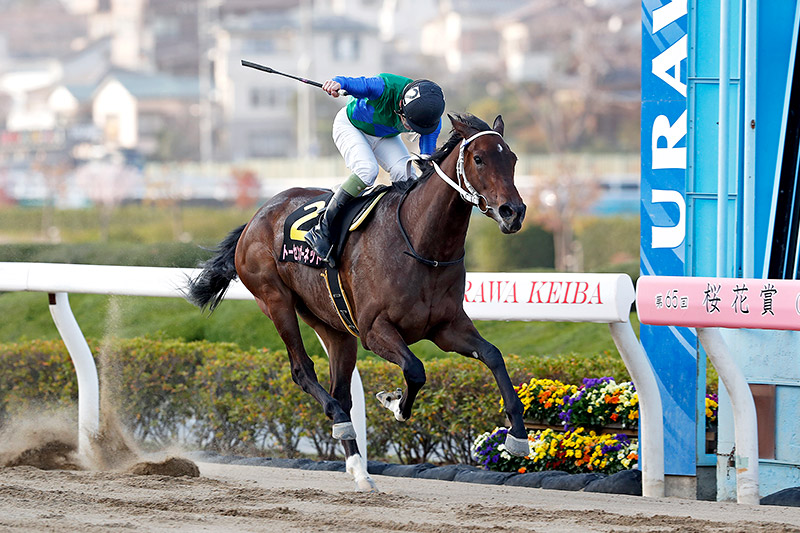 2019年 トーセンガーネット　直線だけで7馬身差をつける圧勝