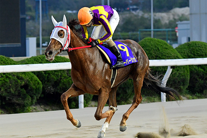 2019年 スーパージンガ　好位3番手につけ直線突き放す