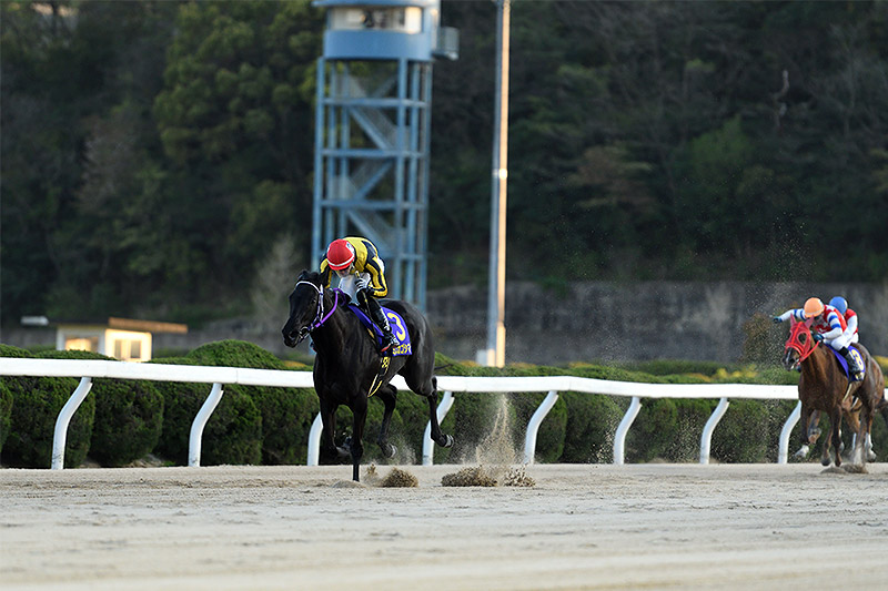 2020年 ミスカゴシマ 楽々と後続を突き放して圧勝